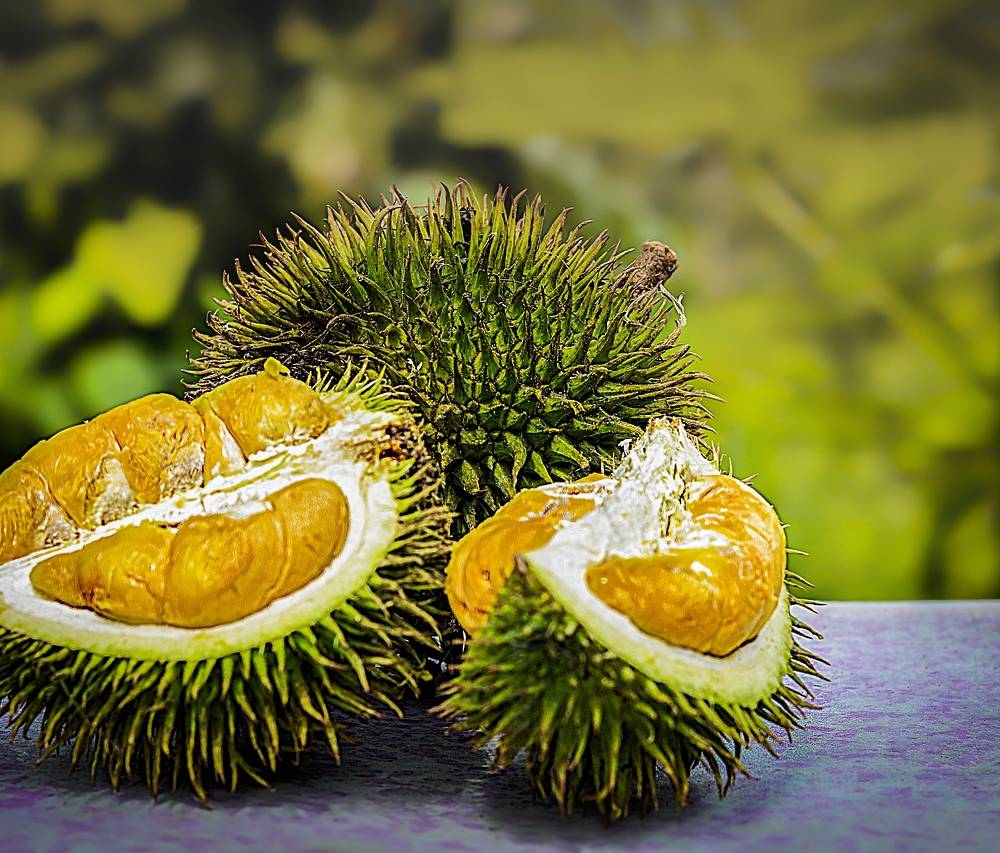 Durian