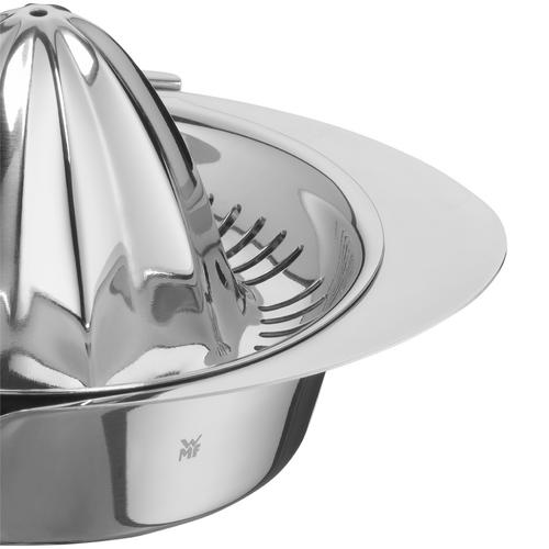 Removable sieve
