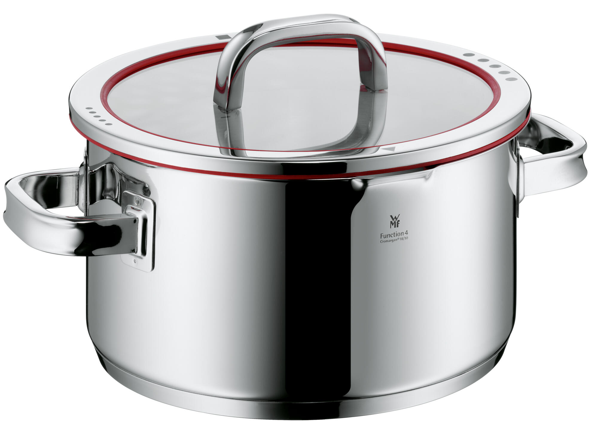 Pentola con coperchio 24 cm, Function 4